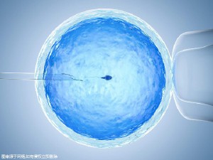 包生男孩助孕机构代生供卵医院